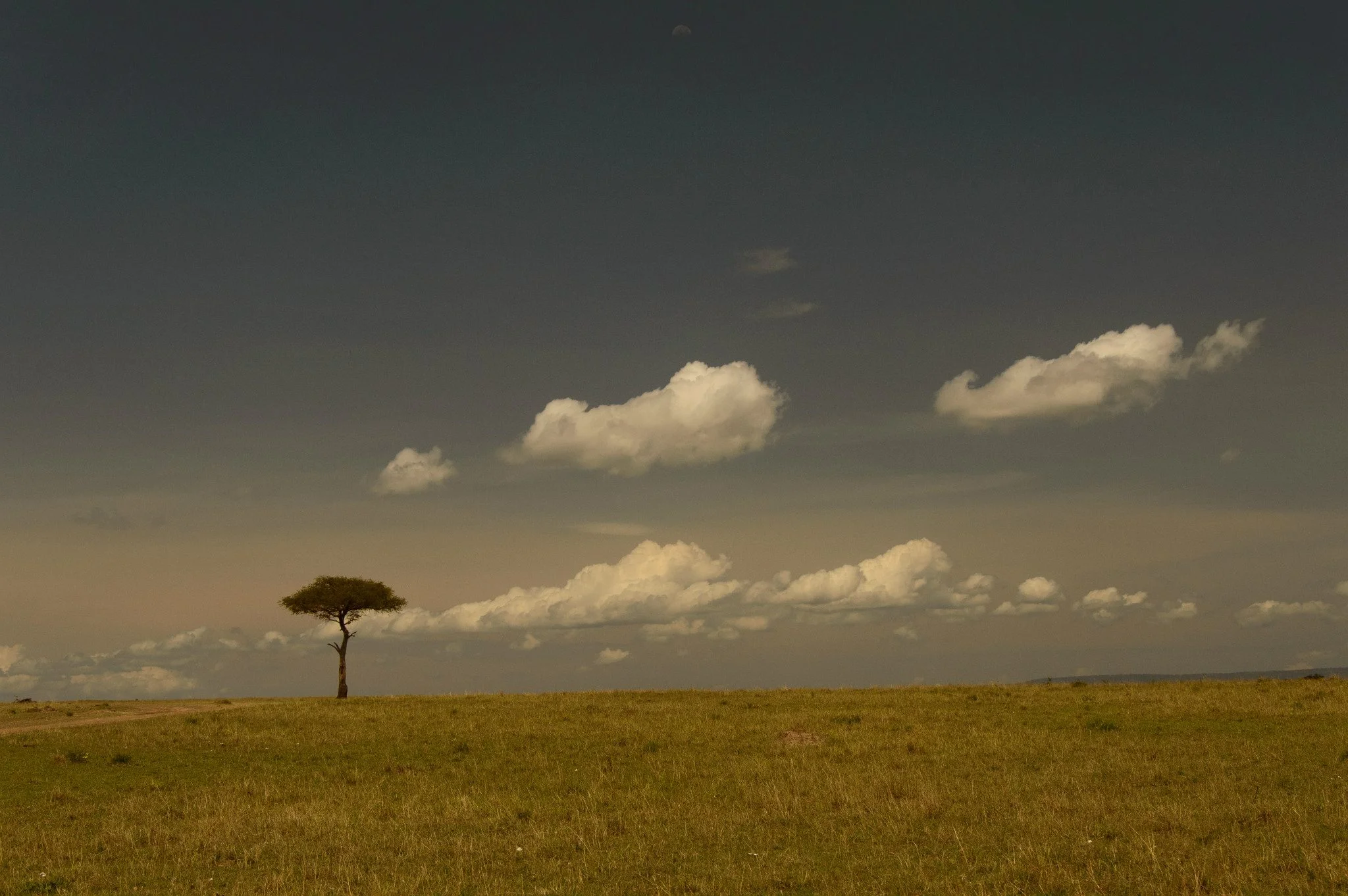 Maasai Mara